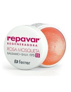 Repavar Regeneradora...